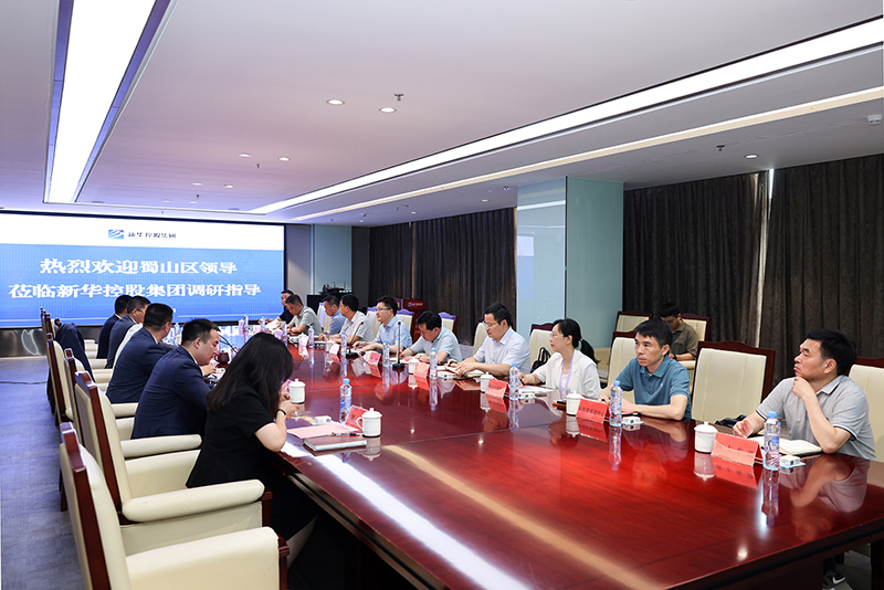 合肥市蜀山區(qū)委副書記、區(qū)長楊森一行深入新華控股集團調(diào)研指導